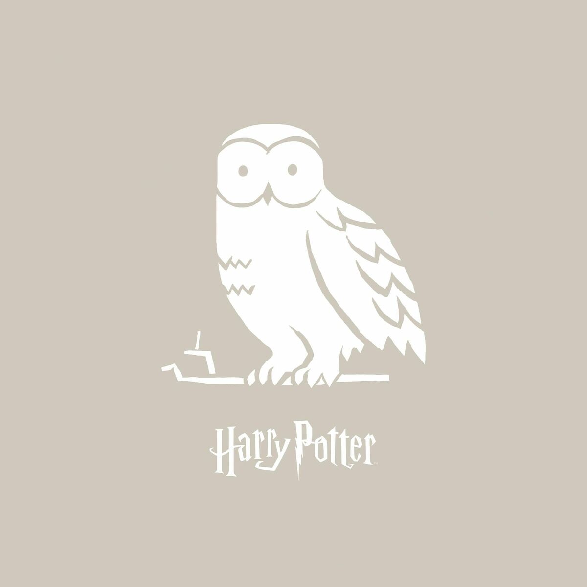 Image  Harry Potter Xios Store SNC