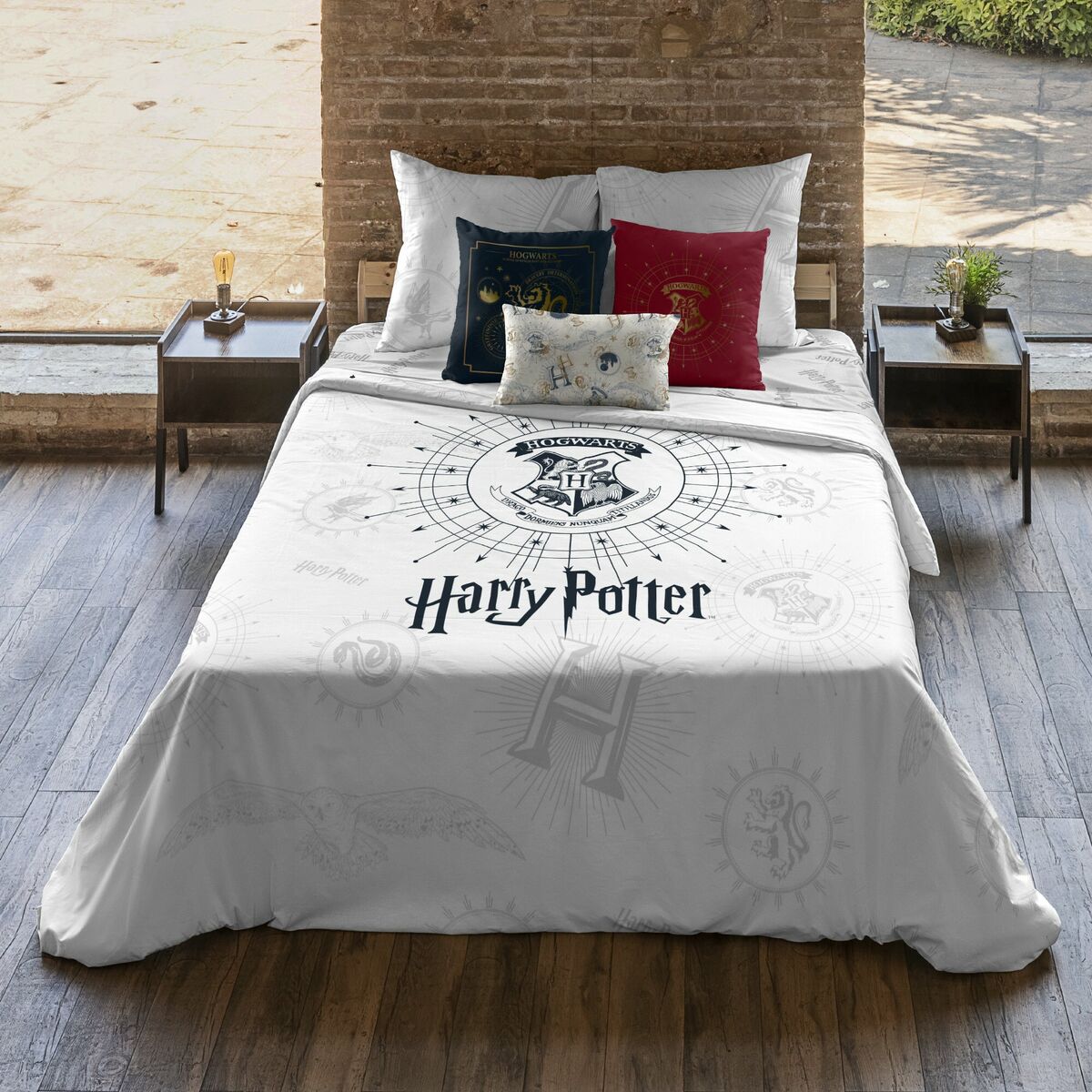 Housse de Couette Harry Potter Dormiens Draco 180 x 220 cm Lit 1 persone