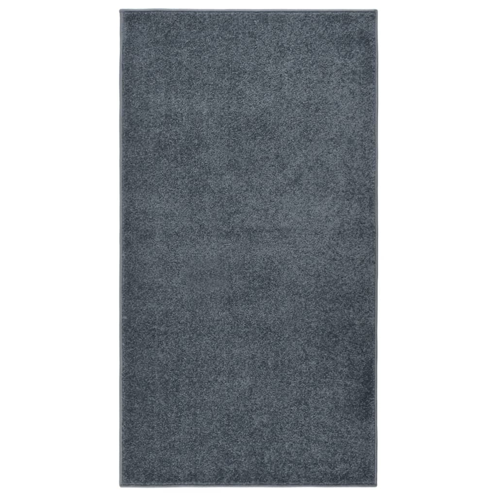 Tapis à poils courts 80x150 cm Anthracite Tapis vidaXL   