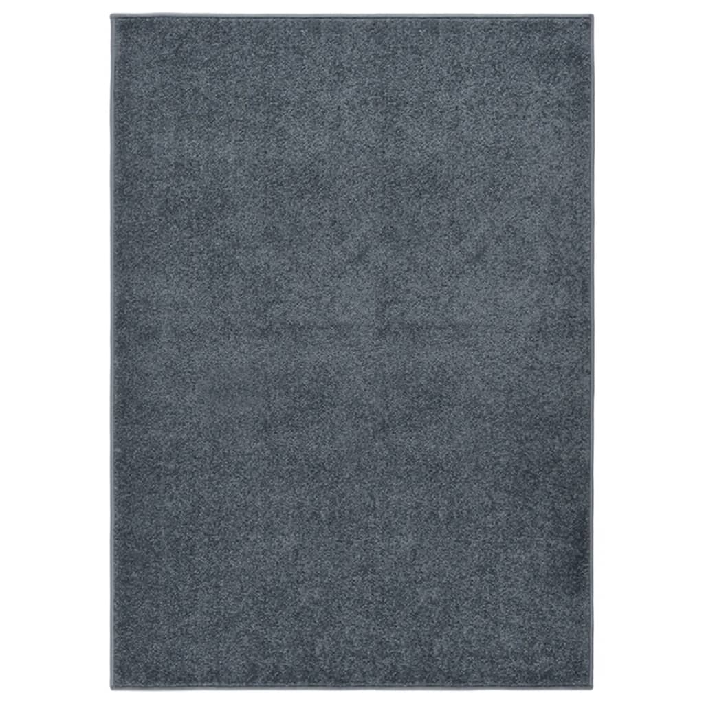 Tapis à poils courts 120x170 cm Anthracite Tapis vidaXL   