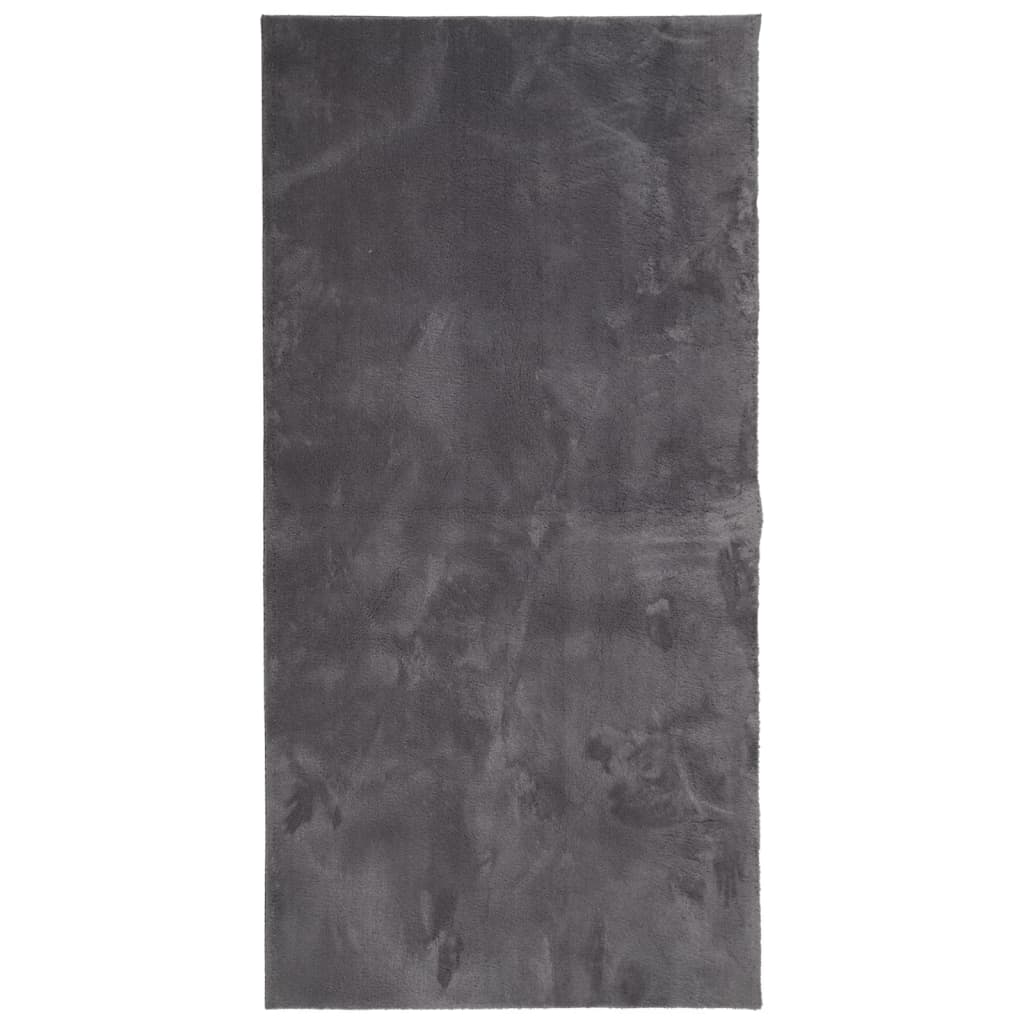 Tapis à poils courts doux et lavable anthracite 100x200 cm Tapis vidaXL   