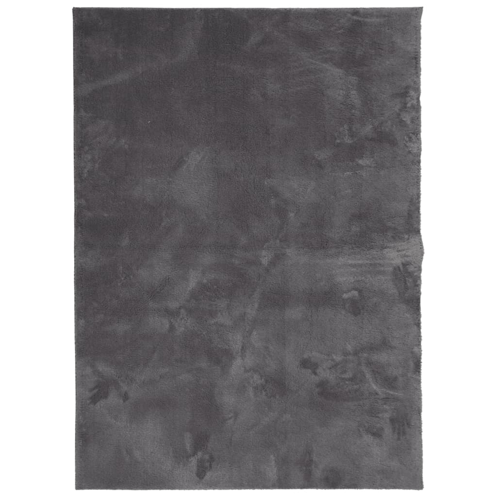 Tapis à poils courts doux et lavable anthracite 120x170 cm Tapis vidaXL   