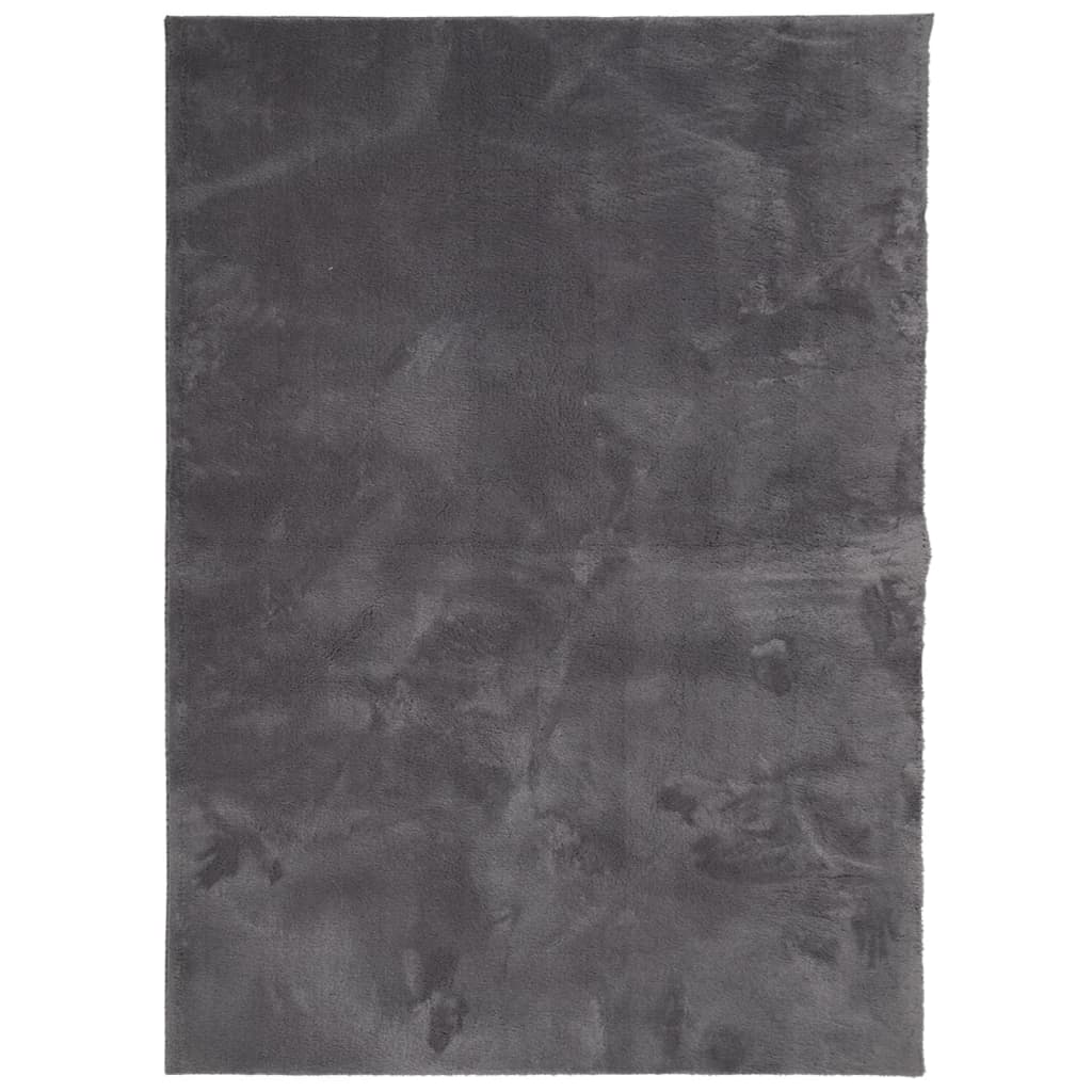 Tapis à poils courts doux et lavable anthracite 240x340 cm Tapis vidaXL   