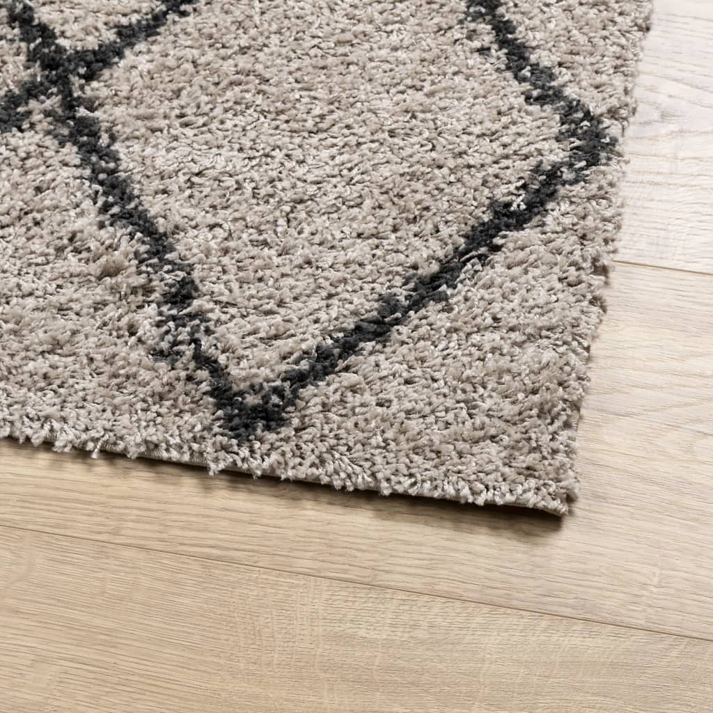 Tapis shaggy à poils longs moderne beige anthracite 80x150 cm Tapis vidaXL   