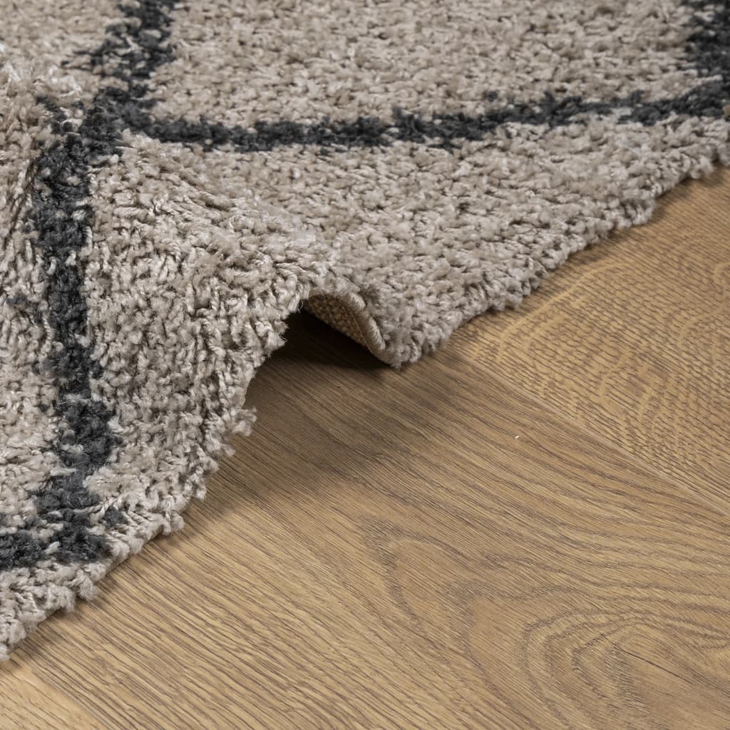 Tapis shaggy à poils longs moderne beige anthracite 80x150 cm Tapis vidaXL   