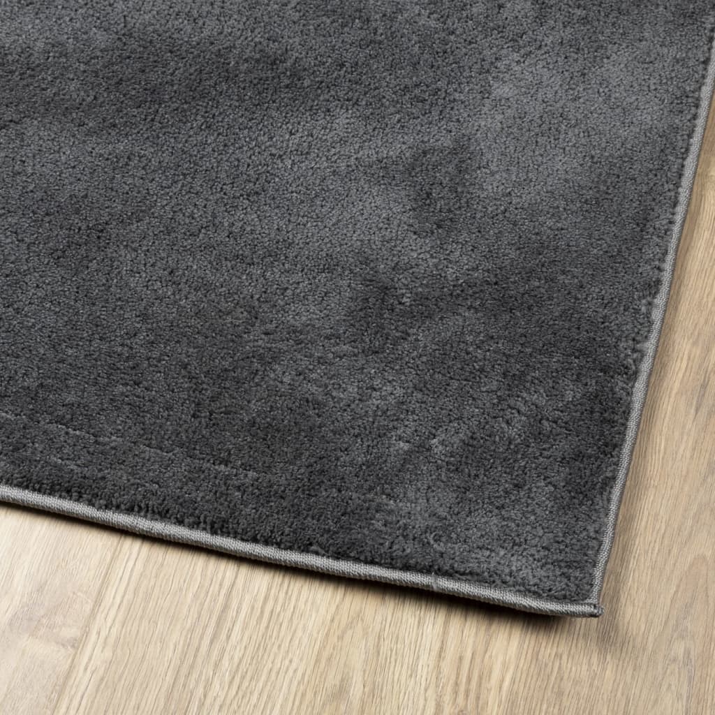 Tapis OVIEDO à poils courts anthracite 60x110 cm Tapis vidaXL   