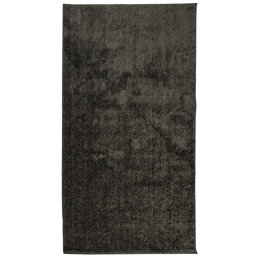 Tapis ISTAN à poils longs aspect brillant anthracite 80x150 cm Tapis vidaXL   