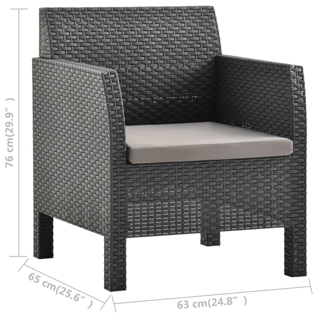 2 pcs garden furniture with anthracite pp rattan cushion